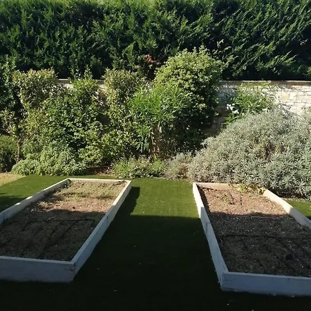 Dei Girasoli *